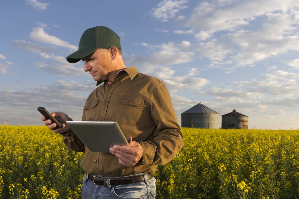 A farm worker standing in a field of crops using a computer and smart phone.