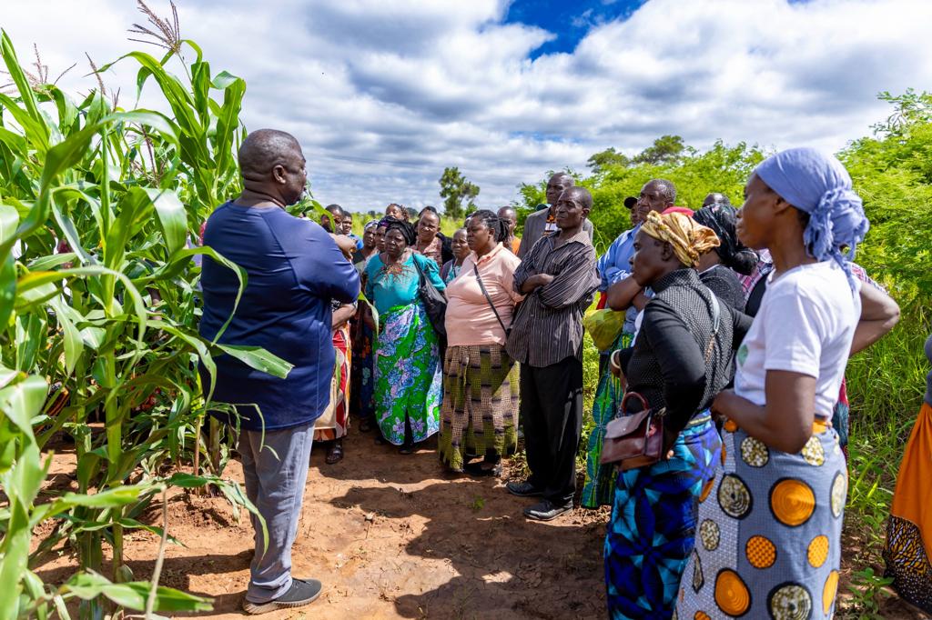 Farmers participating in a field-based training session on crop management and agricultural practices in a maize field.